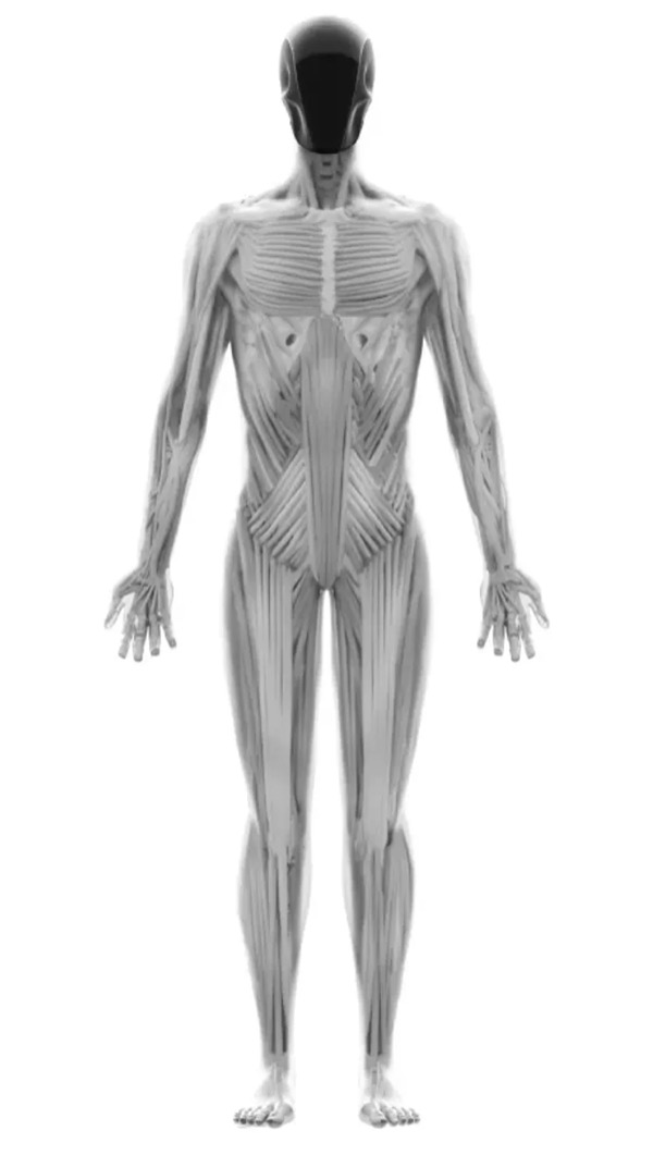 Clone Alpha — polski robot humanoidalny